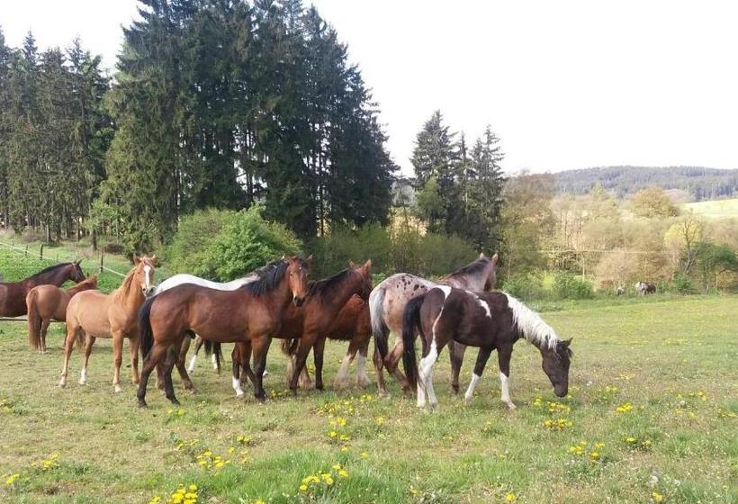 バルコニー付きデラックスルーム, Q Ranch