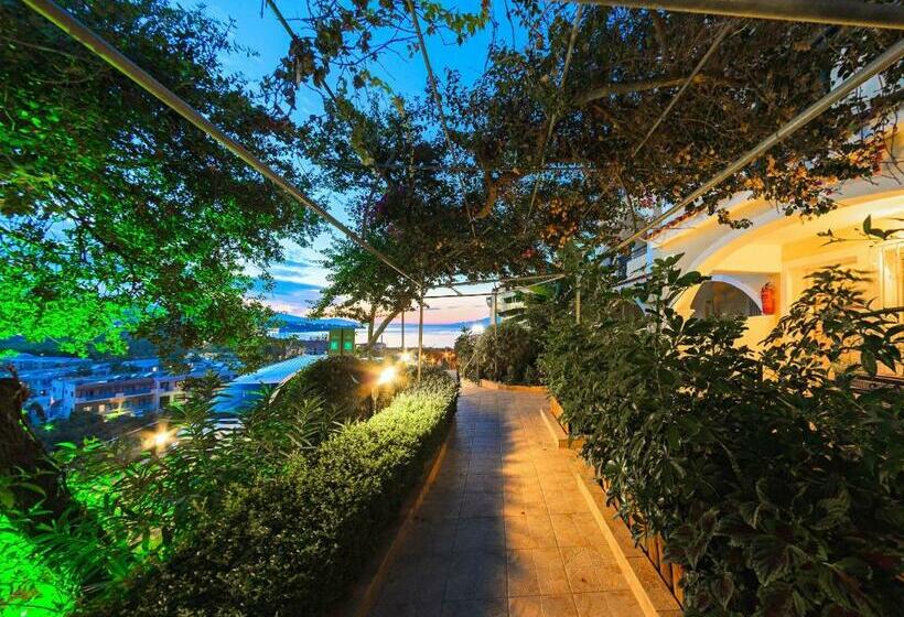 スタンダードスタジオ, Zante Palace