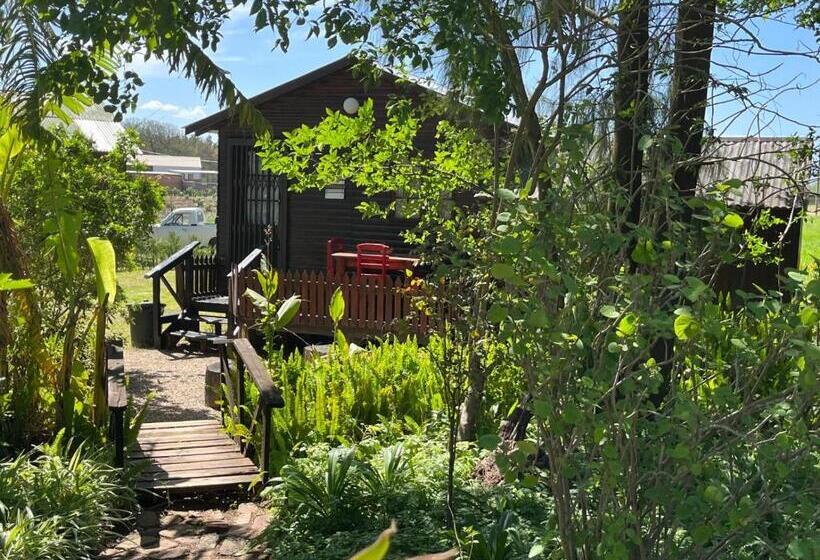 اتاق اکونومی, Homestead Bed And Breakfast