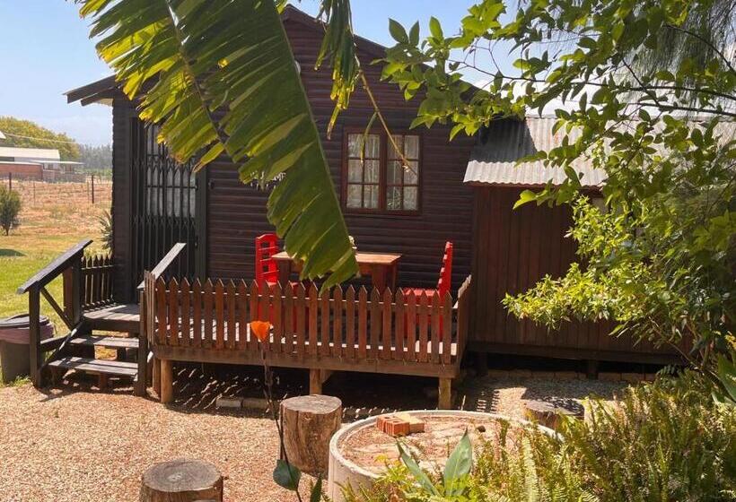 اتاق اکونومی, Homestead Bed And Breakfast