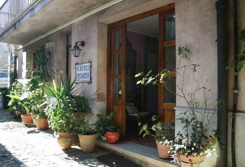 バルコニー付きスタンダードルーム, Edelweiss