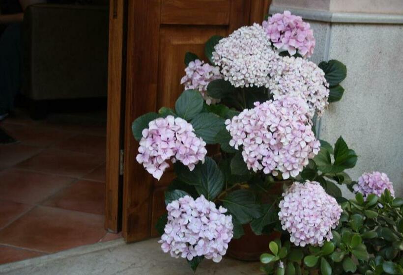 اتاق استاندارد با بالکن, Edelweiss