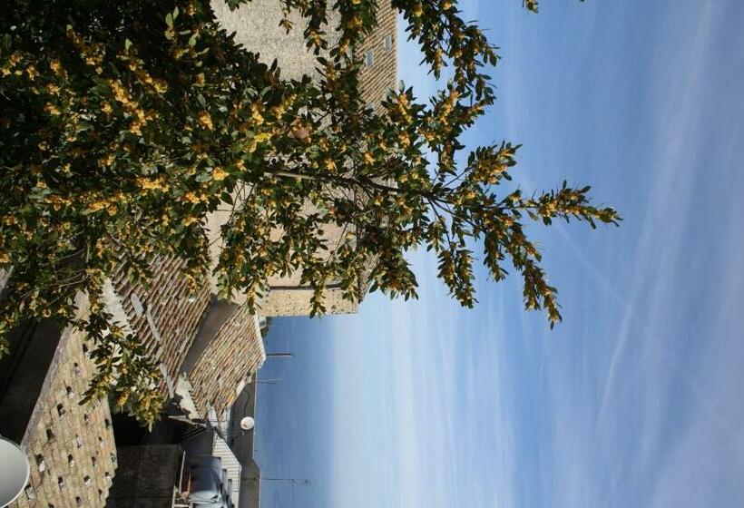 バルコニー付きスタンダードルーム, Edelweiss