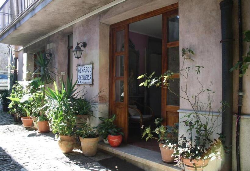 スタンダードシングルルーム, Edelweiss