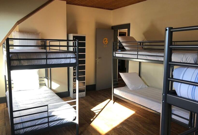 Кровать в Общей Комнате, Boomerang Hostel Antwerp