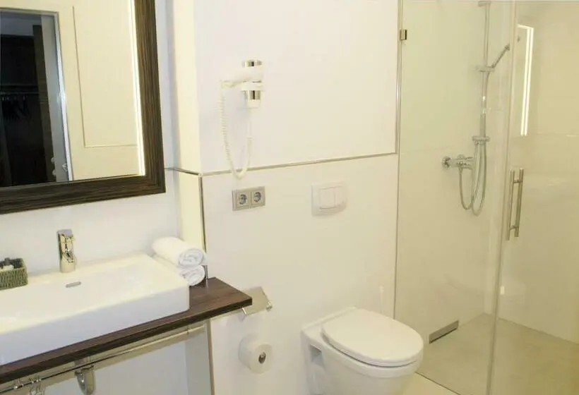Superior-huone, Dorfmeister Business Hotel B&b