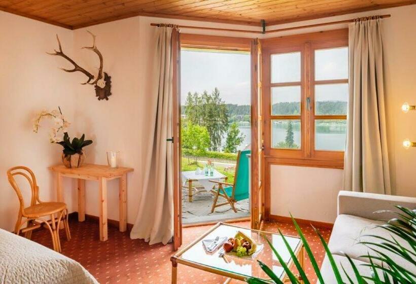 스탠다드 룸 호수 전망, Resort Klopeinersee