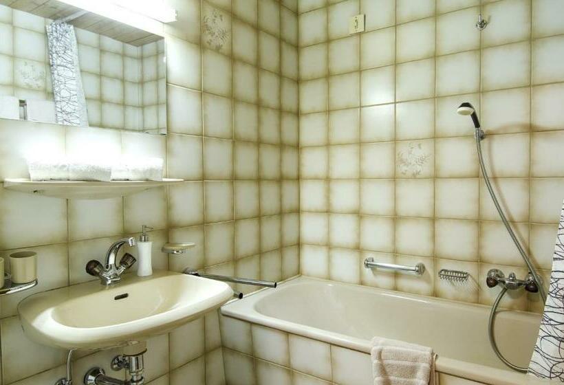 Studio Standard z Balkonem, Versalerhof