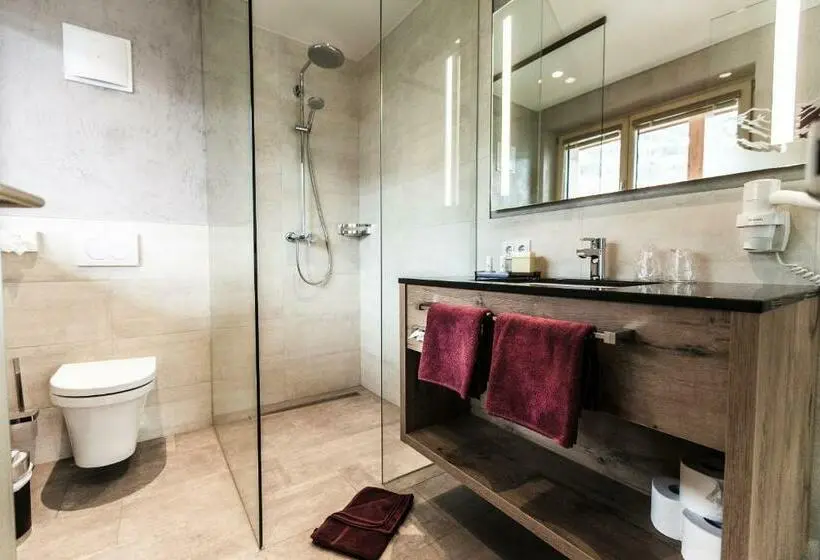 Standard-huone Parveke, Aktivhotel Tuxerhof