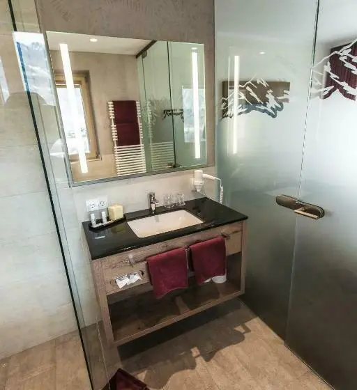 Standard Yhden Hengen Huone Parveke, Aktivhotel Tuxerhof