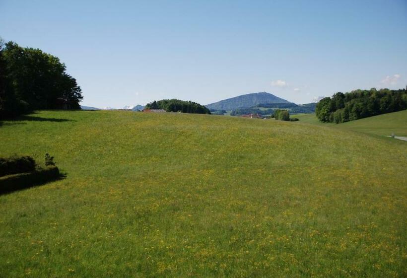 غرفة قياسية فردية, Landhaus Brieger