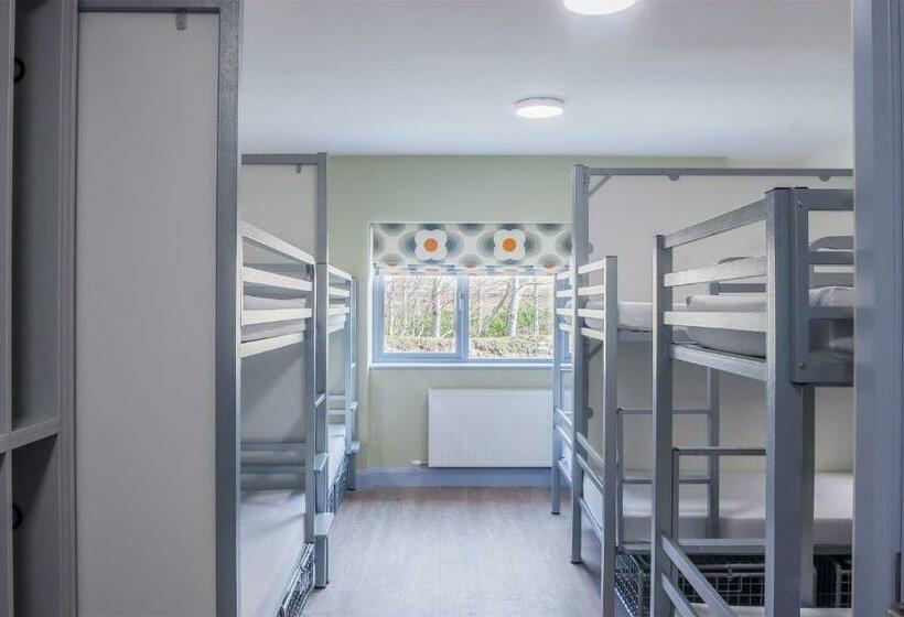 공동 객실, Wild Atlantic Hostel