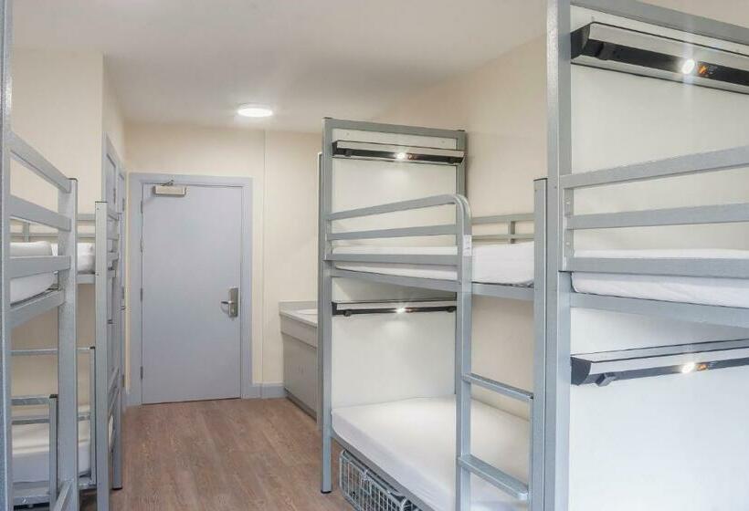 공동 객실, Wild Atlantic Hostel