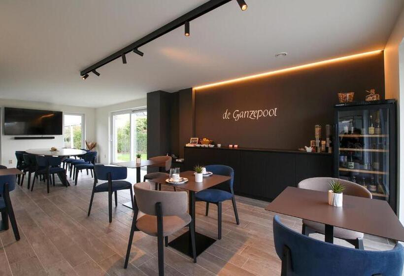 디럭스 스튜디오, Logies Ternier