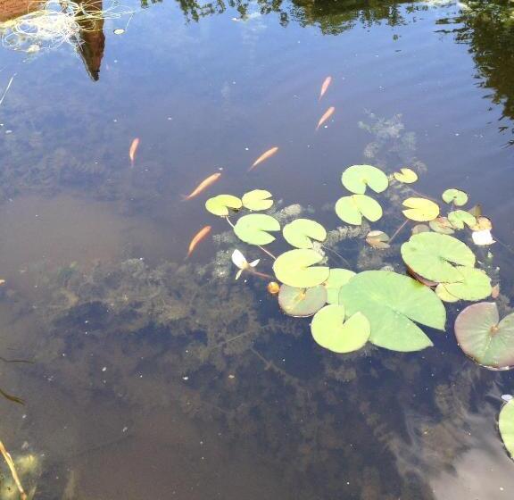 기본룸, Logies Ternier