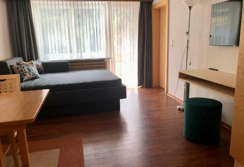 1ベッドルームアパートメント, Garni Central Zimmer Studios Apartments