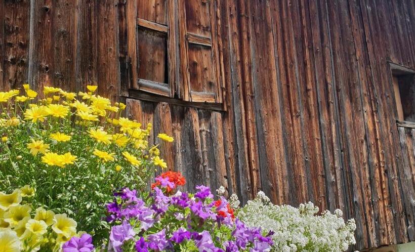 Номер Стандарт с Балконом, Schwarzer Adler