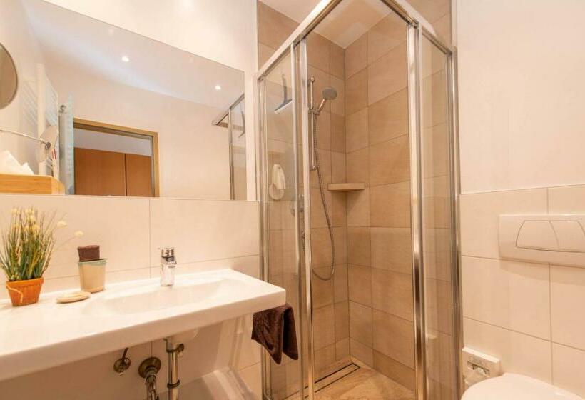 غرفة قياسية فردية, Arlbergerhof Vital