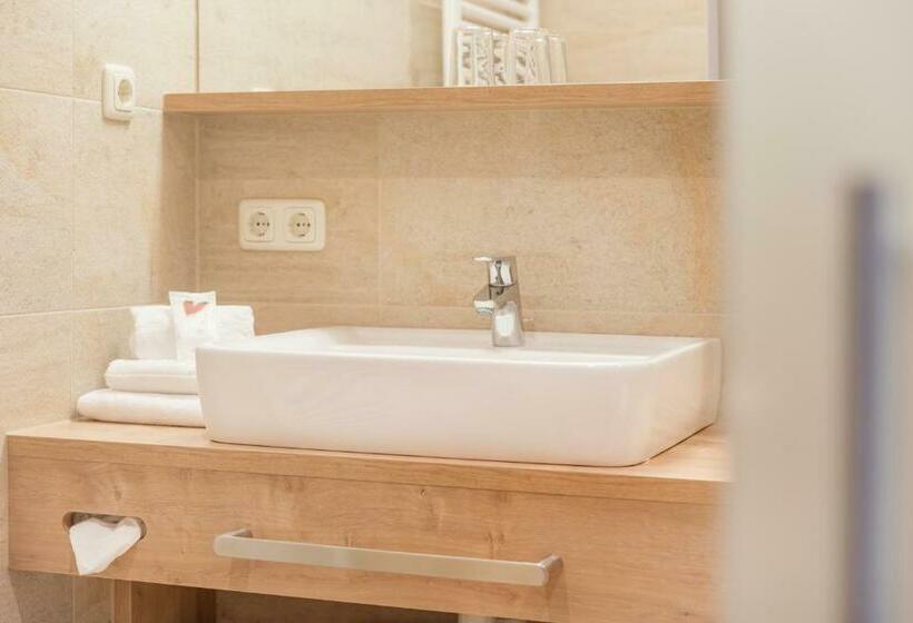 غرفة قياسية, Salzburger Hof