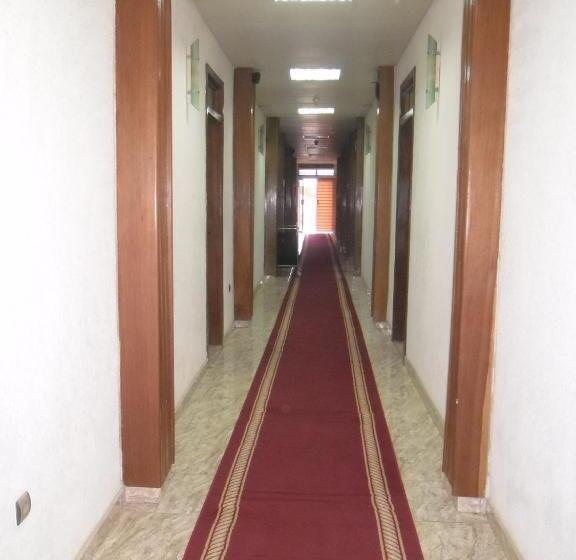 اتاق اکونومی, Vivi Palace