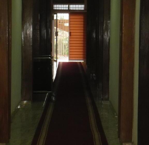 اتاق اکونومی, Vivi Palace