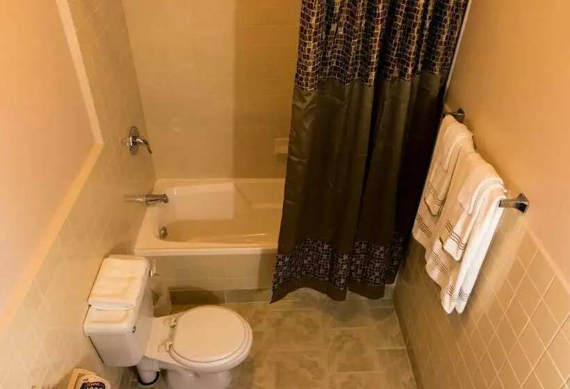 اتاق خانوادگی, The Durban Hotel Guyana Inc