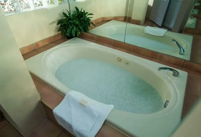 2 Bedroom Superior Room, Vacation Village At Bonaventure