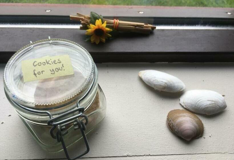 اتاق اکونومی, Dynjandi Guesthouse