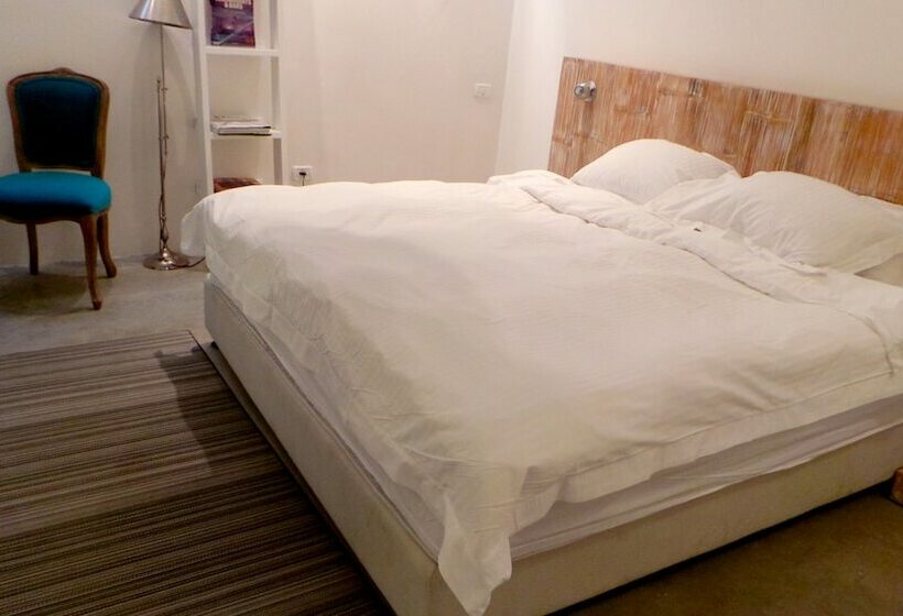 Camera Standard, Innsense