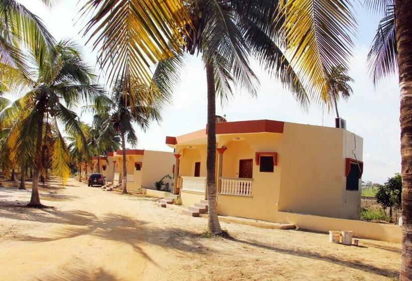 بانگلوی استاندارد, Assouka Eco Village Du Lac Nokoué