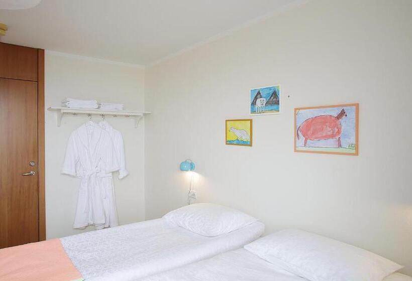 اتاق استاندارد, Húni