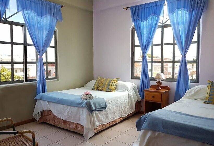 스탠다드 룸 더블 침대 2개, Mirador