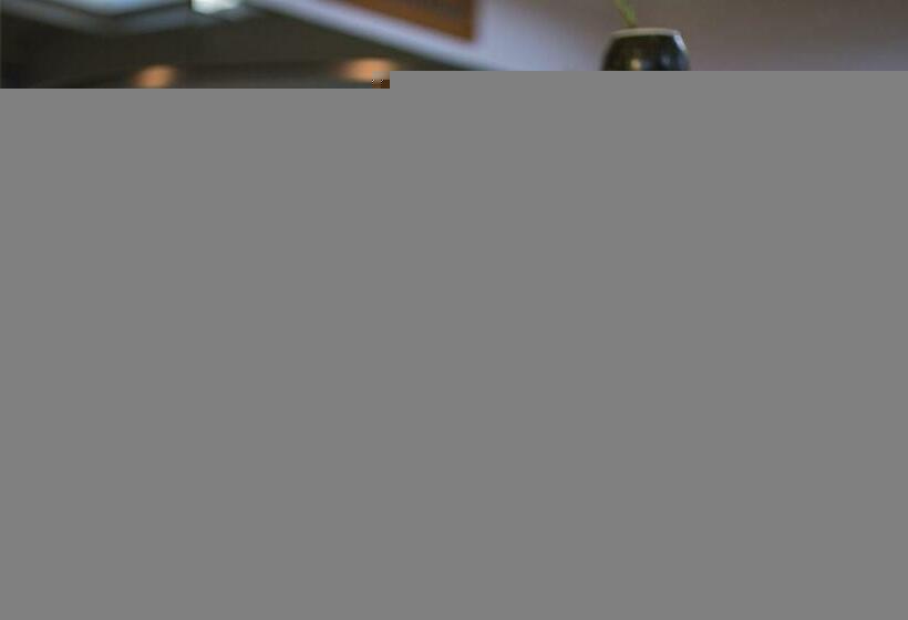 Habitació Deluxe, Nirvana Inn