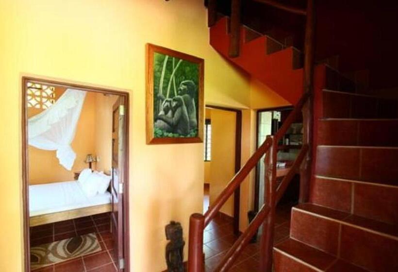 اتاق اکونومی با حمام مشترک, Sunset Villa Boutique Resort