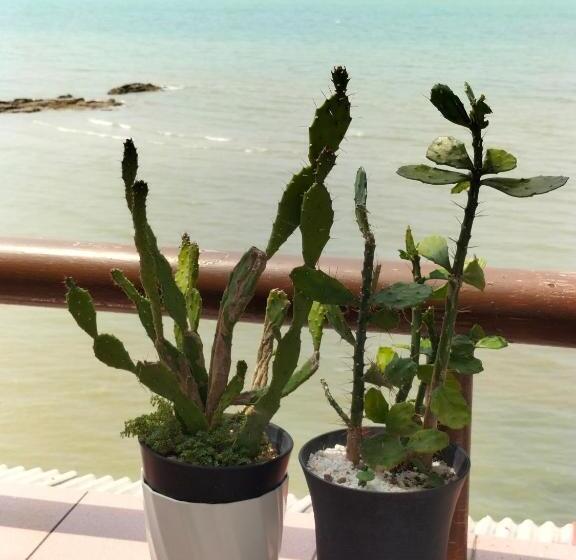 ２ベッドルームアパートメント, Seafront Corus Resort Port Dickson