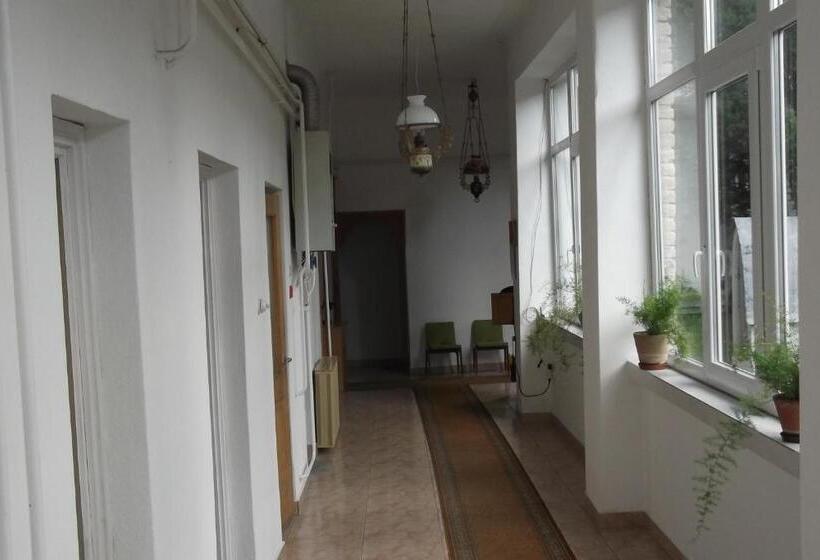 Номер Стандарт, Fenyő Panzió