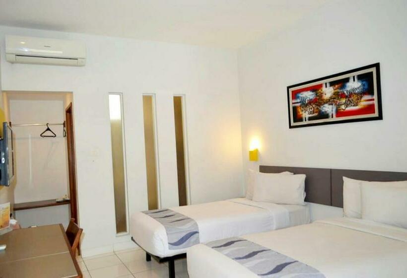 高级大房间, Koening