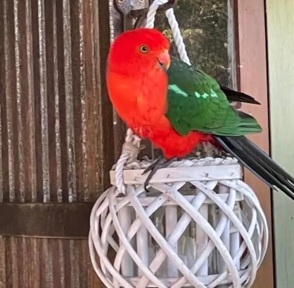 キャビン, Krishna Farm Retreat