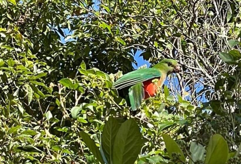 キャビン, Krishna Farm Retreat