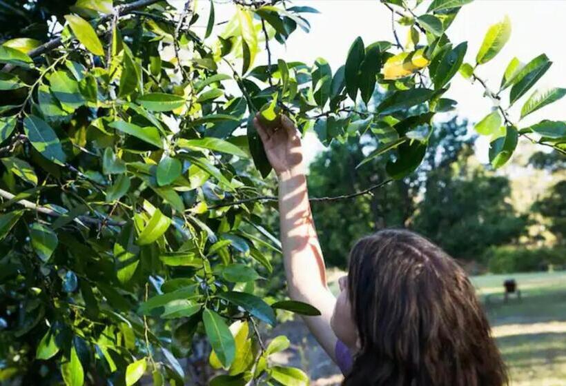 スタンダードルーム, Krishna Farm Retreat