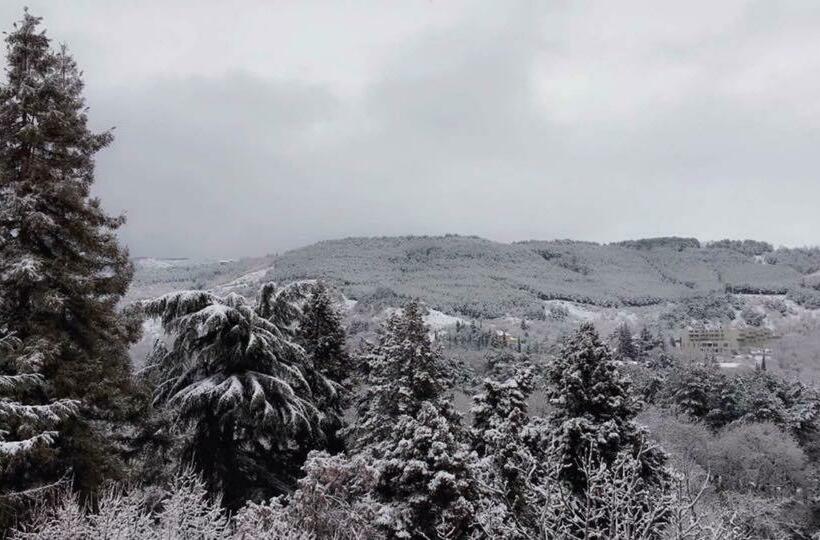 Lakosztály Erkéllyel, Avis