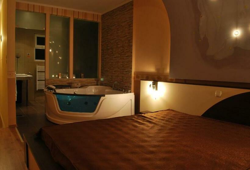 1ベッドルームアパートメント, Spa Hotel Holiday