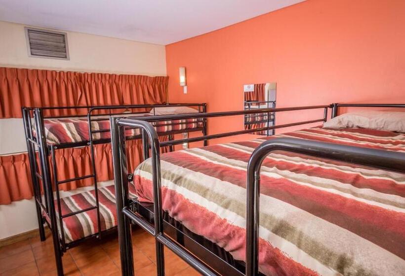 共用房间的床, Yha Alice Springs