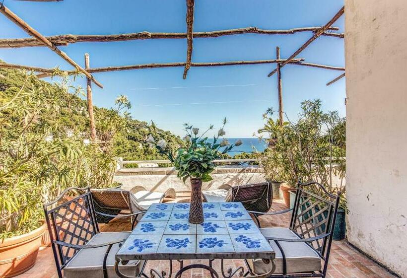 חדר סופריור עם טרסה, Villa Calypso