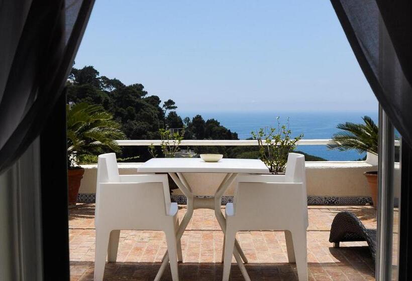 חדר סופריור עם טרסה, Villa Calypso