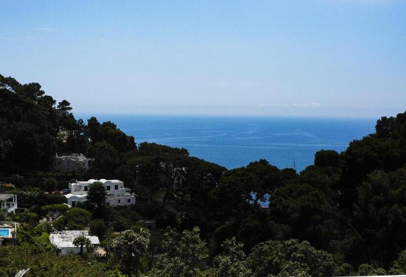 סוויטת ג'וניור מיטת קינג, Villa Calypso