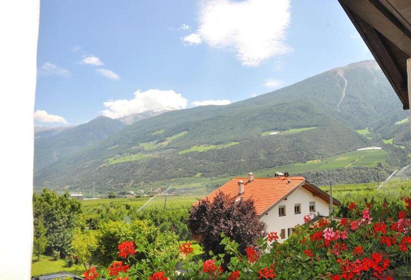 标准三人间, Pension Feldgärtenhof