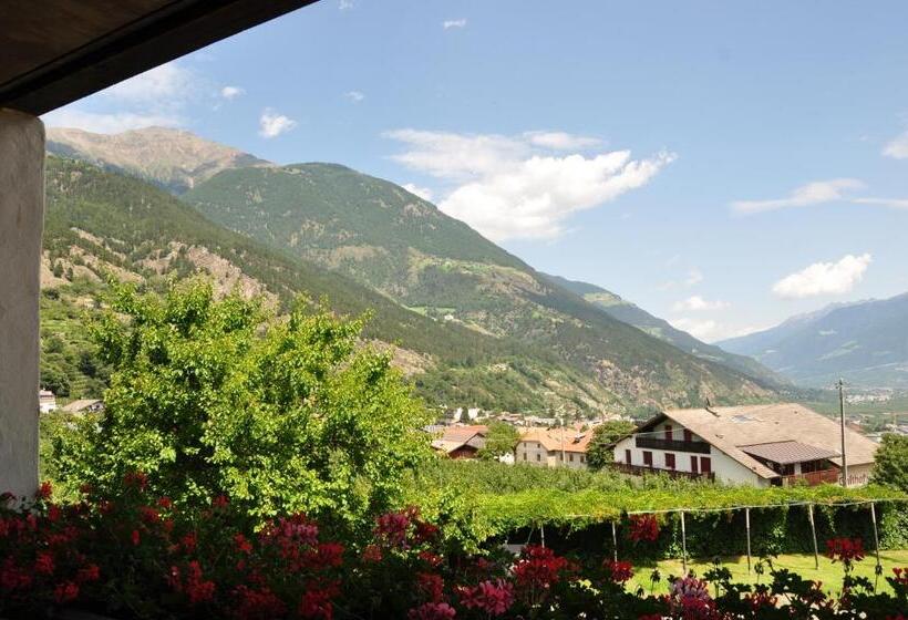 חדר סטודיו סטנדרד, Pension Feldgärtenhof