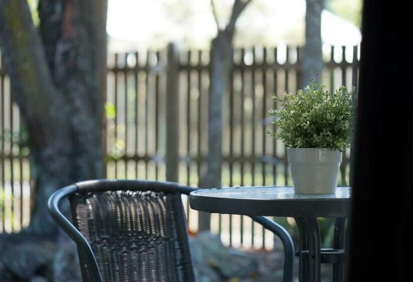 スタンダードルーム, The Waterloo Bay