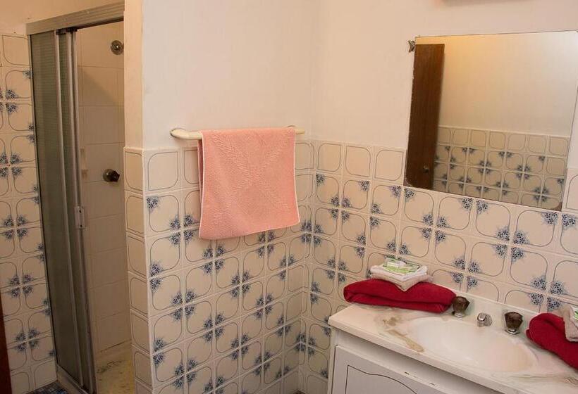 آپارتمان 4 خوابه, The Swiss Motel